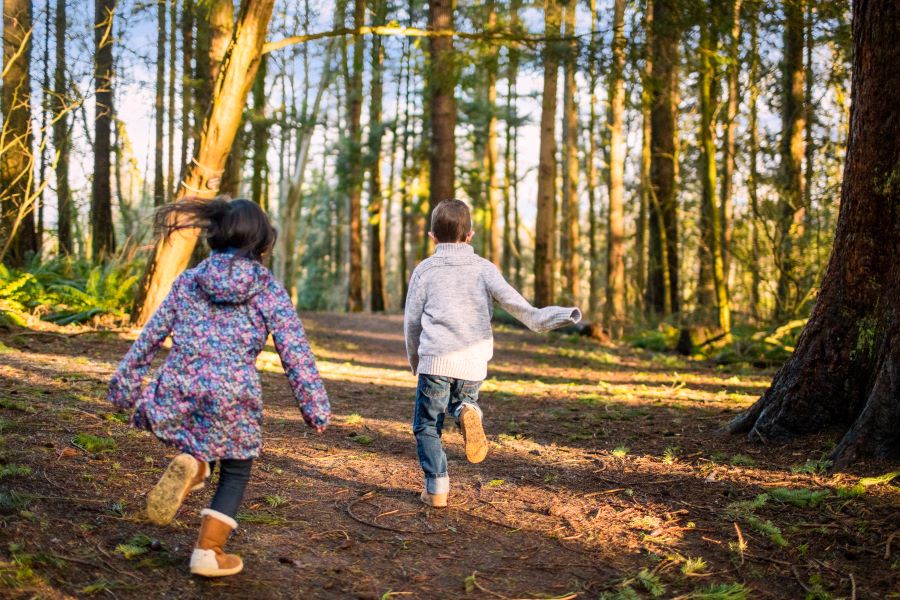 Kinder in Wald